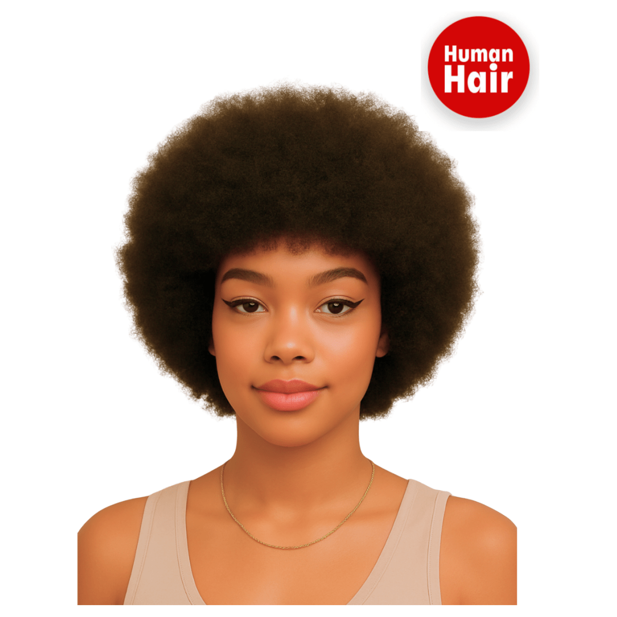 Dream Hair Afro Human Hair Wig Natural Color 12&