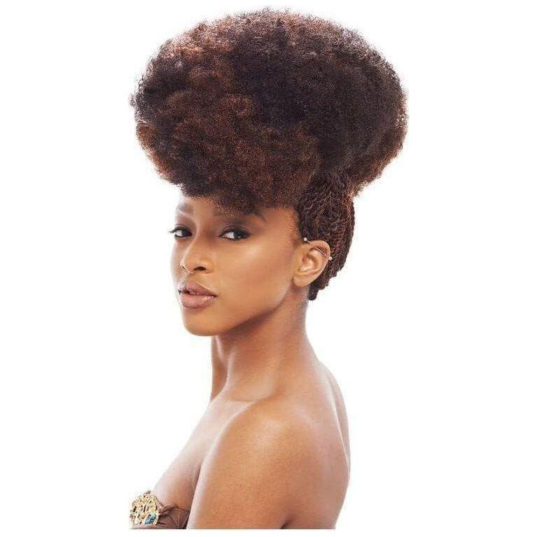 Janet Collection Noir 2X Afro Kinky Bulk 24" 100% Kanekalon Fiber - Gtworld.de