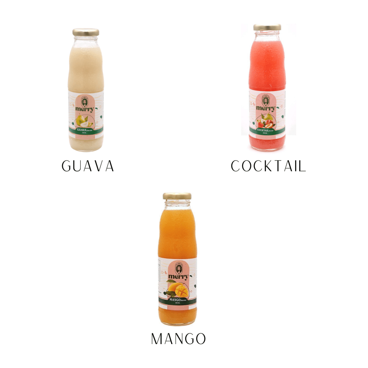 Merry Fruit Juices (Mango/Guava/Cocktail) 350ml - gtworld.de