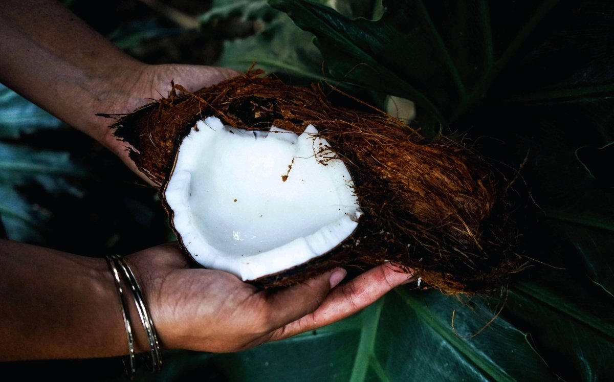 Kokosnussöl und Kokosnuss Creme - Natürlicher Inhaltsstoff | GT World - gtworld.de