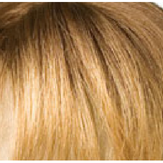 Wig Jemima/Jodie Synthetic Hair, synthetic hair wig, Color:613