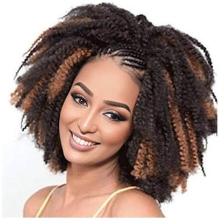 Dream Hair Afro Kinky Braid Bliss Bundle - Gtworld.de