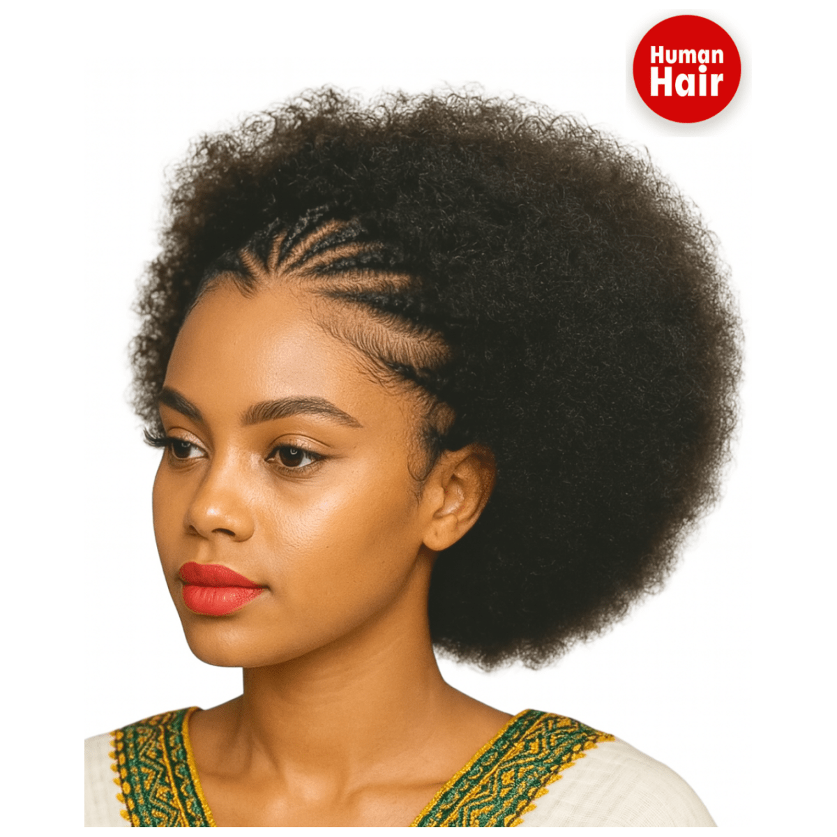 Dream Hair Human Hair 13x4 Braid Wig Natural Color - gtworld.de