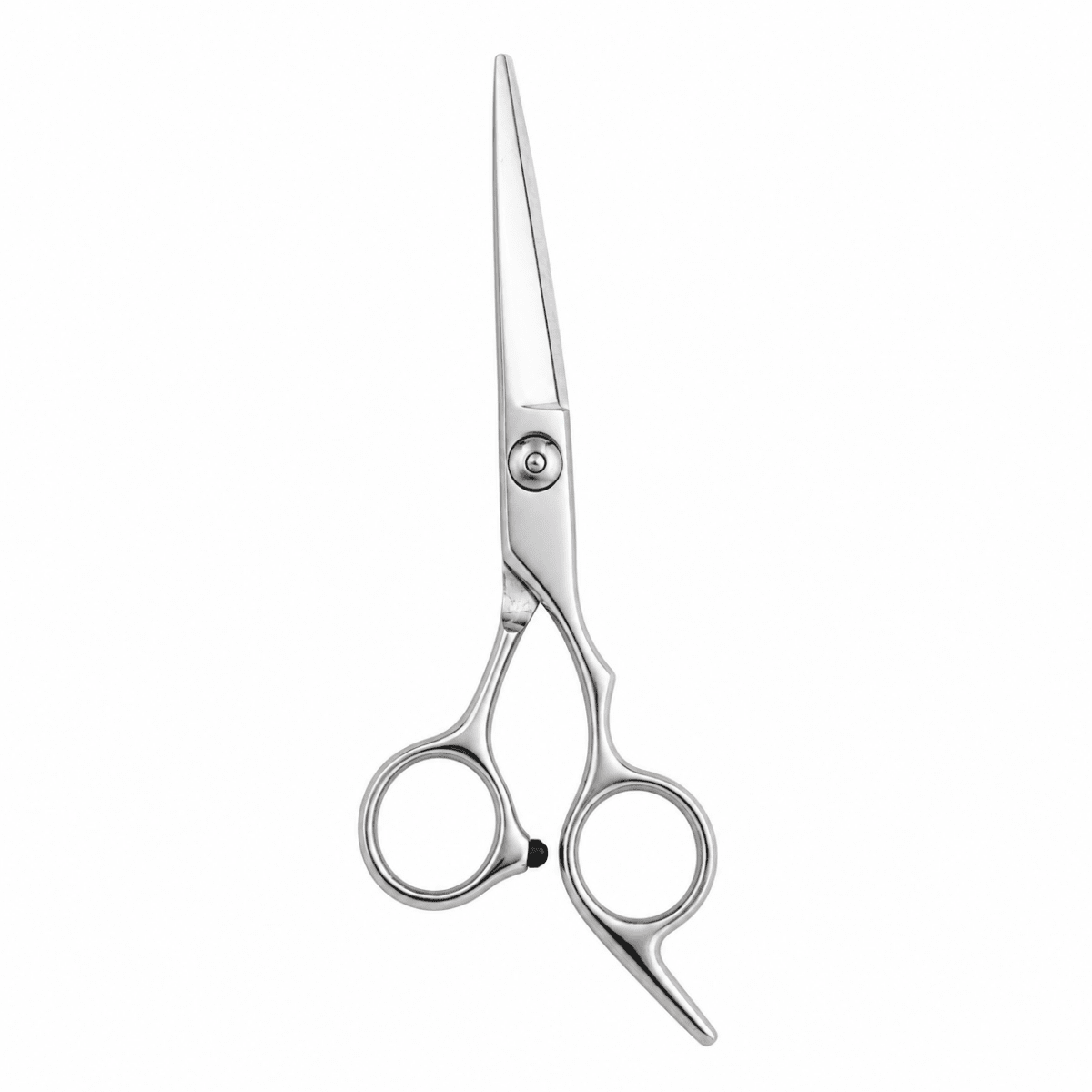 Dreamfix Stainless Steel Cutting scissors 6 Inch - gtworld.de