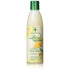 Jamaican Mango & Lime Pure Naturals Coconut Milk & Honey Shampoo 8oz - gtworld.de