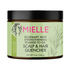 Mielle Rosemary Mint Pomade to Oil Hair & Scalp Quencher 5oz - Gtworld.de