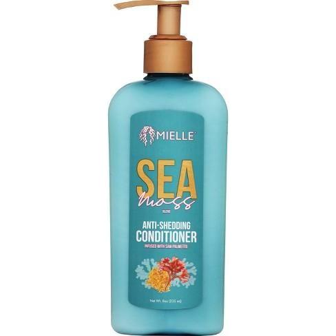 Mielle Sea Moss Anti - Shedding Conditioner 8oz - Gtworld.de