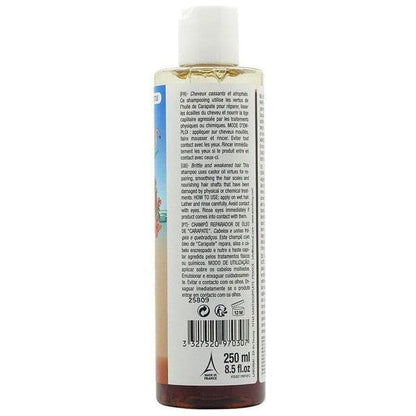 Miss Antilles Repairing Shampoo Palma Christi 250ml - Gtworld.de