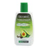 Stratti Avocado & Shea Butter Conditioner 300ml - Gtworld.de